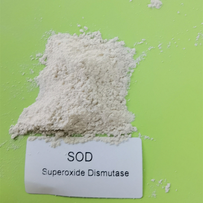 Polvere bianca del superossido dismutasi materiale della ZOLLA del cosmetico di purezza 99%