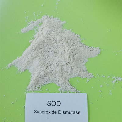 Superossido dismutasi della licenza di produzione alimentare SOD2 in Skincare 50000iu/G