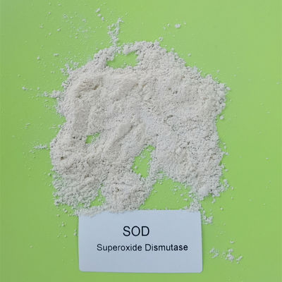 Polvere 50000iu/g della ZOLLA del superossido dismutasi di pH 4-11