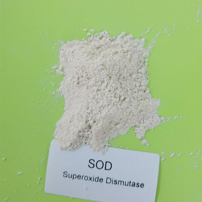 materia prima del cosmetico del superossido dismutasi della ZOLLA di 500000iu/g 99%