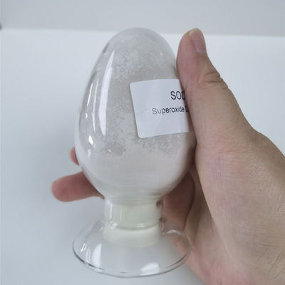 Superossido dismutasi del commestibile 50000iu/g in Skincare 9054-89-1