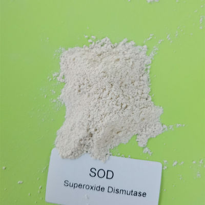 Superossido dismutasi del commestibile 50000iu/g in Skincare 9054-89-1