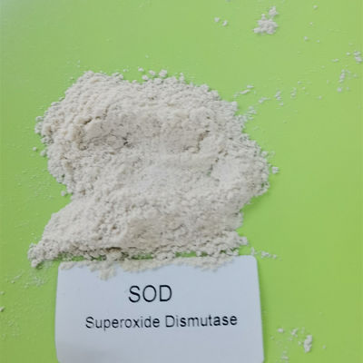 9054-89-1 superossido dismutasi di 99% in Skincare