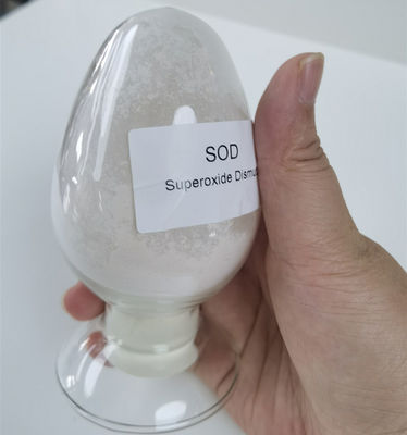 Superossido dismutasi microbico dell'estrazione in cosmetici CAS 9054-89-1