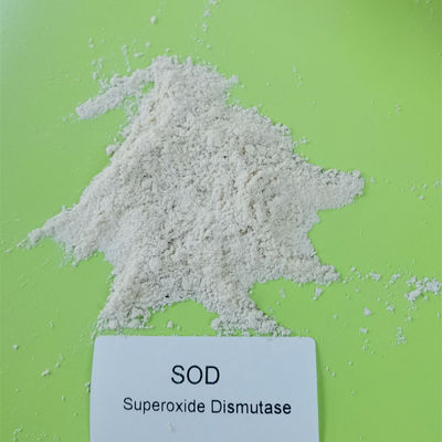 Superossido dismutasi 50000iu/g di CAS 9054-89-1 antinvecchiamento