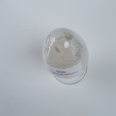 Polvere bianca 500000 iu/g del superossido dismutasi della ZOLLA di 99%