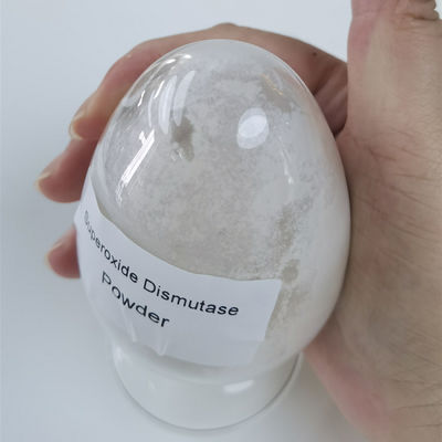 Imbiancatura della polvere anti del superossido dismutasi della grinza 50000iu/g
