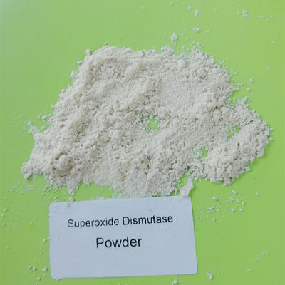 Superossido dismutasi naturale 50000iu/g del commestibile 99%