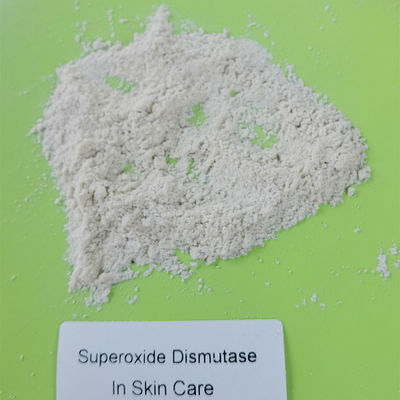 Superossido dismutasi HALAL dell'antiossidante di purezza 99% del commestibile
